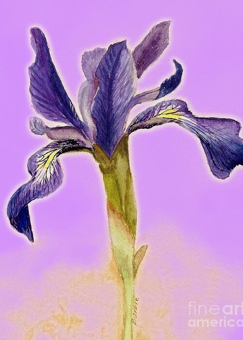 Iris Greeting Card featuring the painting Iris on lilac by Barbie Corbett-Newmin