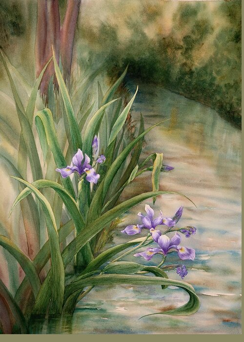 Watercolor Greeting Card featuring the painting Iris Over the Inlet by Johanna Axelrod