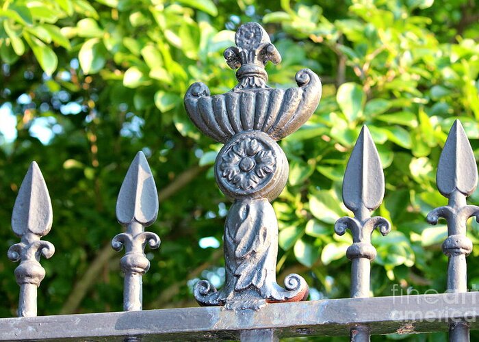 Fence Greeting Card featuring the photograph Iron Fence by Cynthia Snyder