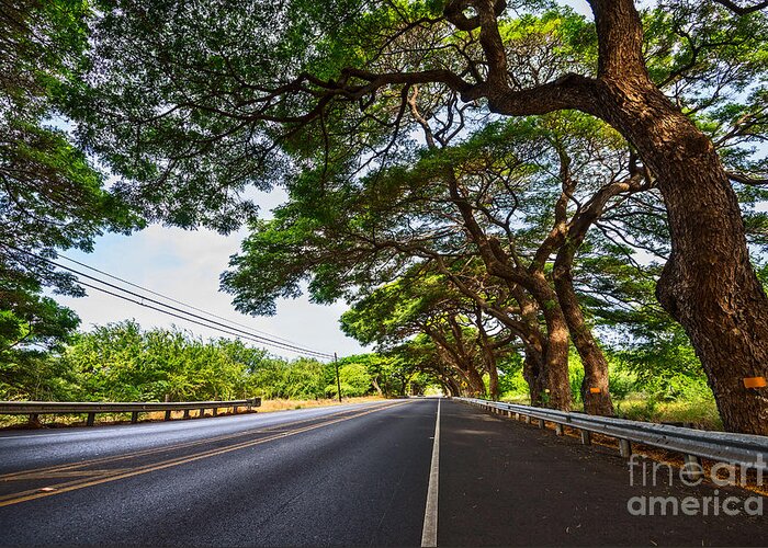 Maui Greeting Card featuring the photograph Island Drive by Jamie Pham