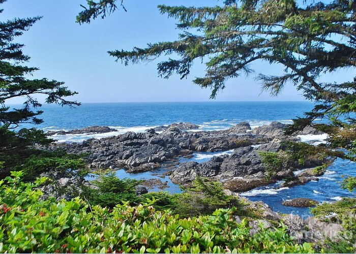 Ucluelet Greeting Card featuring the photograph Island View by William Wyckoff