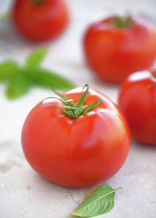 Purity Greeting Card featuring the photograph Italian Tomatoes And Basil by Ursula Alter