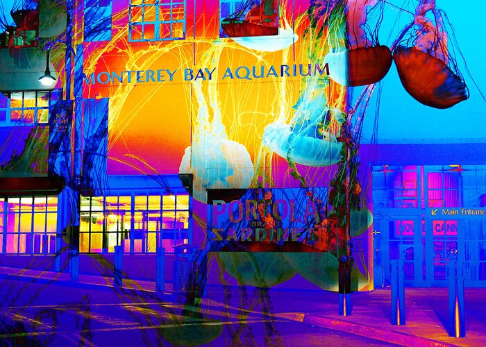 Its Raining Jelly Fish At The Monterey Bay Aquarium 5D25177 Square ...