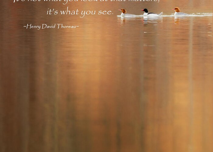 Henry David Thoreau Greeting Card featuring the photograph It's What You See Square by Bill Wakeley