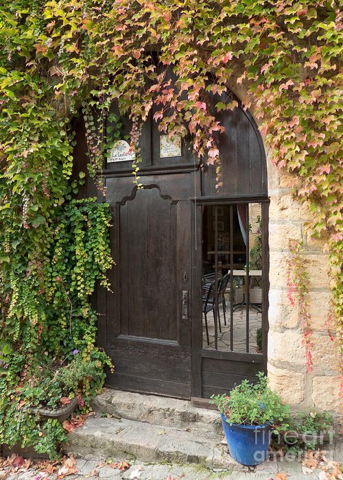 Door Greeting Card featuring the photograph Ivy Covered Doorway by Paul Topp