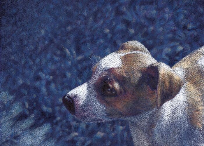 Jack Russell Greeting Card featuring the drawing Jack Russell Terrier on Blue by Ben Hartnett