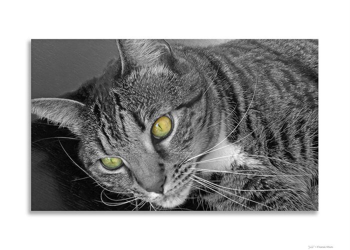 Animal Greeting Card featuring the photograph Jade - black and white by Frank Mari