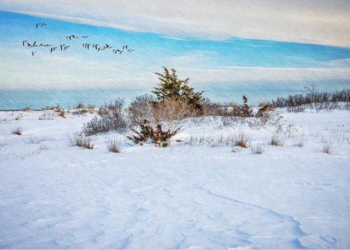 Beach Greeting Card featuring the photograph Jamesport Beach In Winter by Cathy Kovarik