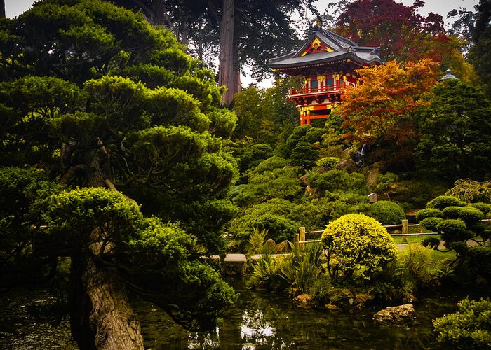Bonsai Greeting Card featuring the photograph Japanese Garden by Mark Llewellyn