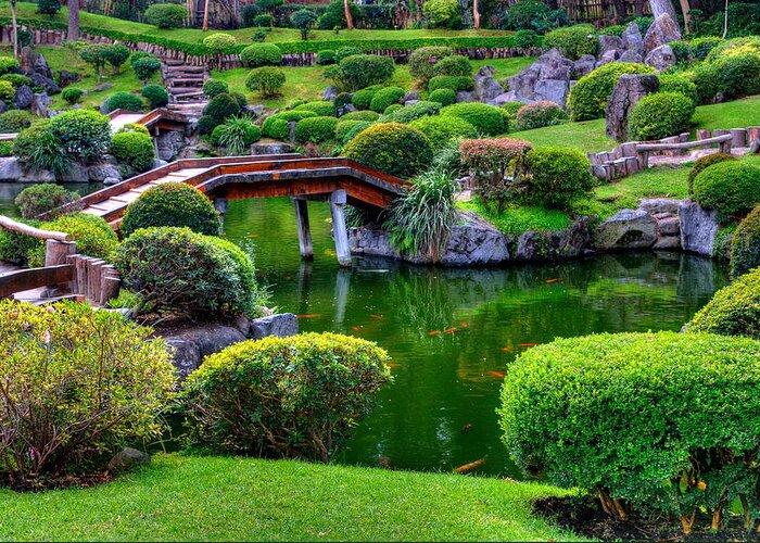 Gardens Greeting Card featuring the photograph Japanese Gardens by Robert McKinstry