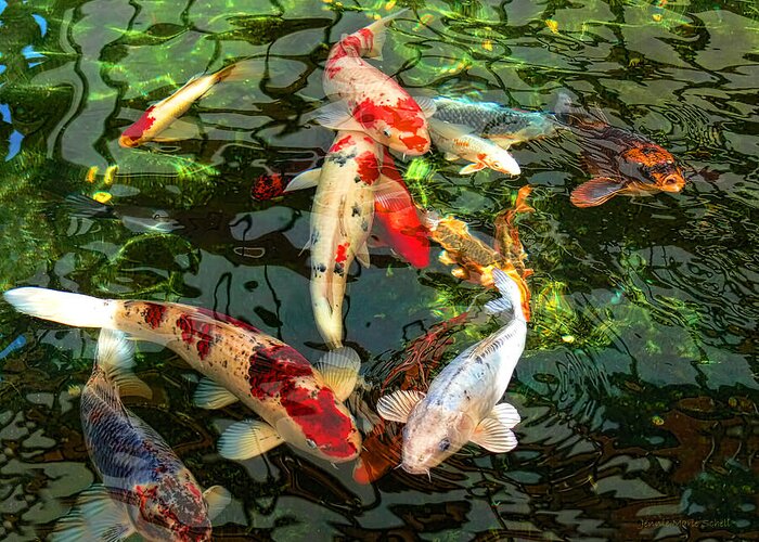 Koi Greeting Card featuring the photograph Japanese Koi Fish Pond by Jennie Marie Schell