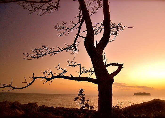 Jeju Scenery Greeting Card featuring the photograph Jeju Sunset by HweeYen Ong