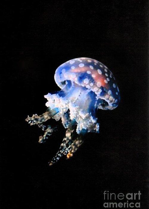 Sea Life Greeting Card featuring the painting Jelly Fish by Mary Zimmerman