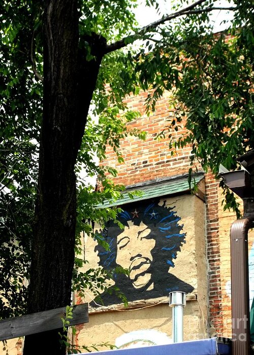  Greeting Card featuring the photograph Jimi by Kelly Awad