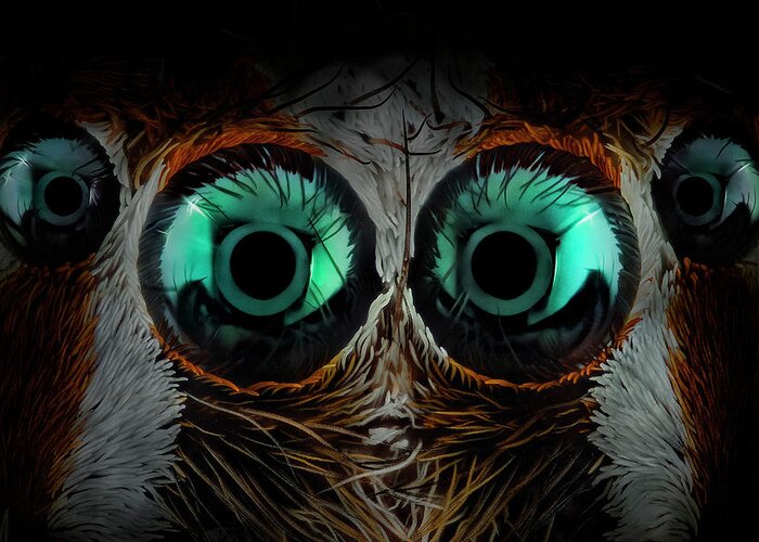 Macro Greeting Card featuring the photograph Jumping Spider Eyes by Javier Rup?rez