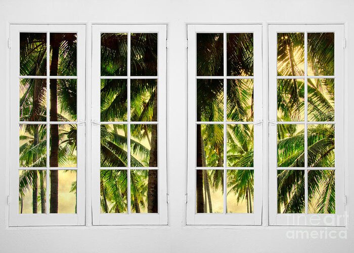 Jungle Greeting Card featuring the photograph Jungle Paradise Plantation Double 16 Pane Window View by James BO Insogna