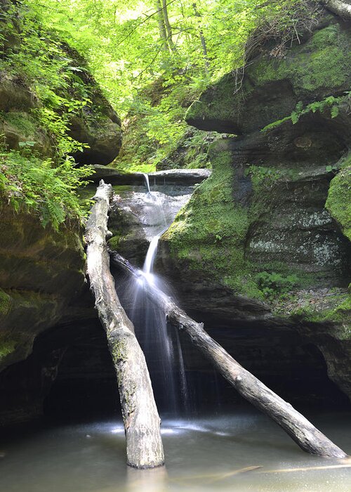Starved Rock Greeting Card featuring the photograph Kaskaskia Canyon Falls by Forest Floor Photography