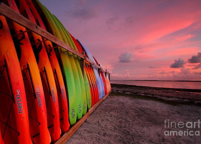 Dunedin Fl Greeting Card featuring the photograph Kayaks on Dunedin Causeway by Jennifer Zelik