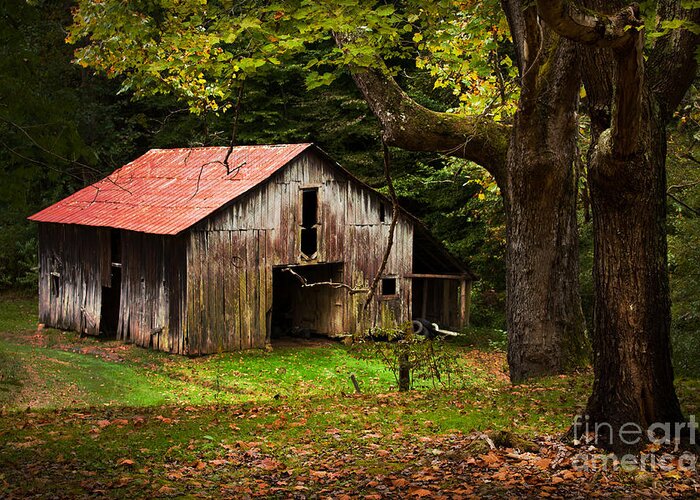 Kentucky Greeting Card featuring the photograph Kentucky Barn by Lena Auxier