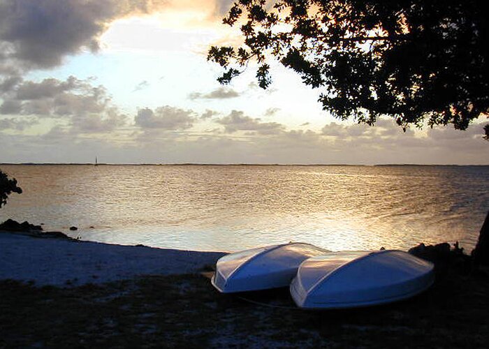 Sunset Greeting Card featuring the photograph Key Largo by Jessica Levant