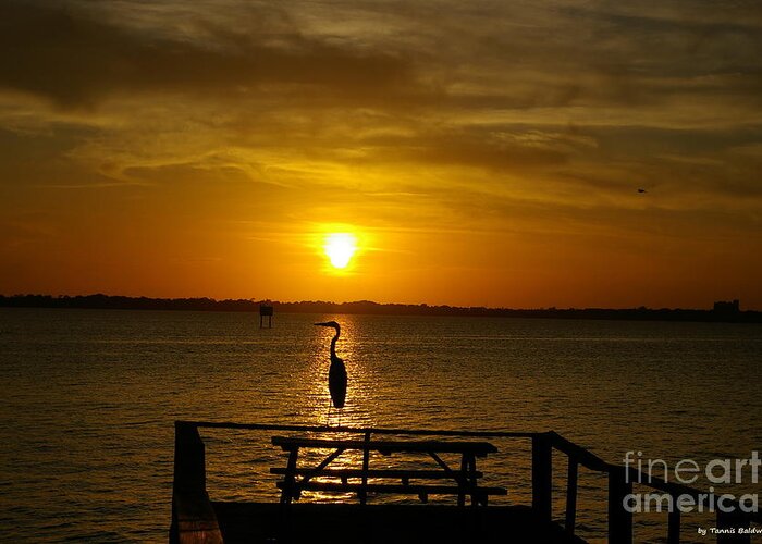 Sunset Greeting Card featuring the photograph King of the Pier by Tannis Baldwin