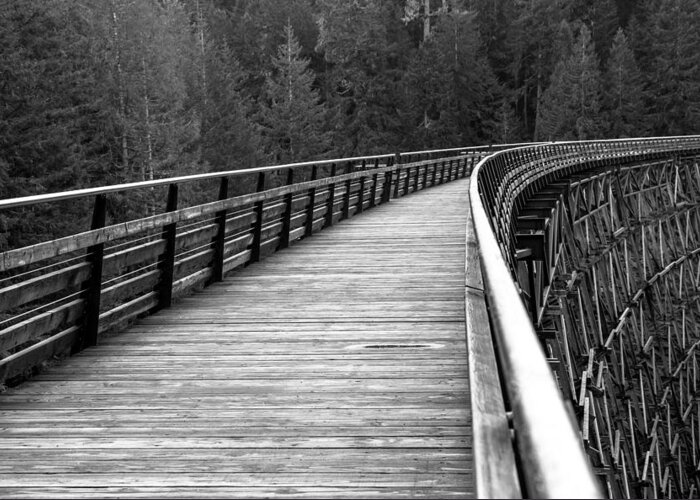 Black And White Greeting Card featuring the photograph Kinsol Trestle Boardwalk by John Daly