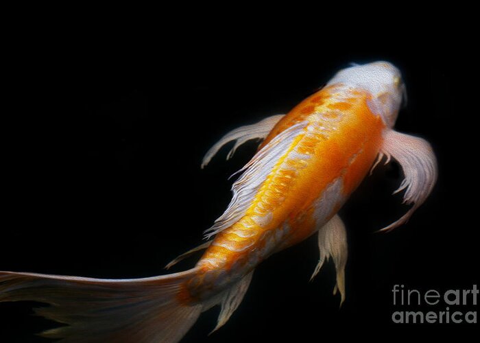 Koi Greeting Card featuring the photograph Koi 3 by Rebecca Cozart