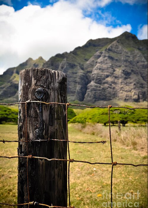 Oahu Greeting Card featuring the photograph Ko'olau Mountains by Kelly Wade