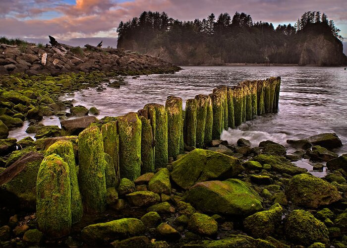 2011 Greeting Card featuring the photograph La Push by Robert Charity