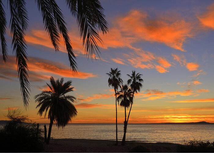 Mexico Greeting Card featuring the photograph La Ventana Sunrise by Christian Heeb