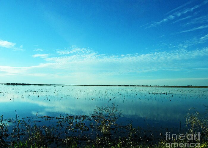 Refuge Greeting Card featuring the photograph Lacassine NWR Pool Blue and Green by Lizi Beard-Ward