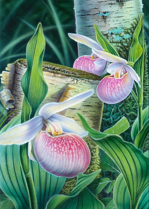 Jon Q Wright Greeting Card featuring the painting Lady Slipper by JQ Licensing