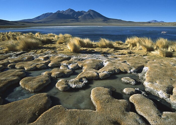 Feb0514 Greeting Card featuring the photograph Laguna Canapa Potosi District Altiplano by Tui De Roy