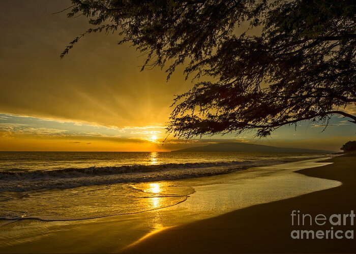 Beach Greeting Card featuring the photograph Lahaina Sun Burst by Jamie Pham