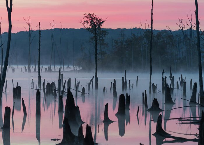 Misty Greeting Card featuring the photograph Lake @ Morning #2 by ??? / Austin