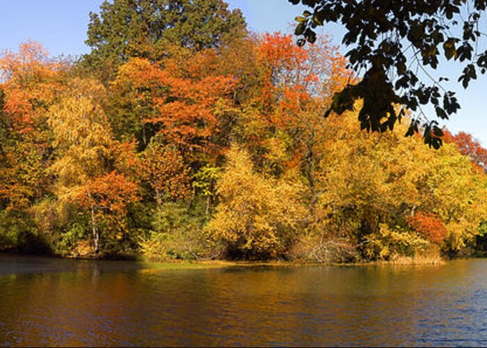 Lake Greeting Card featuring the photograph Lake in Central Park in Fall by Yue Wang