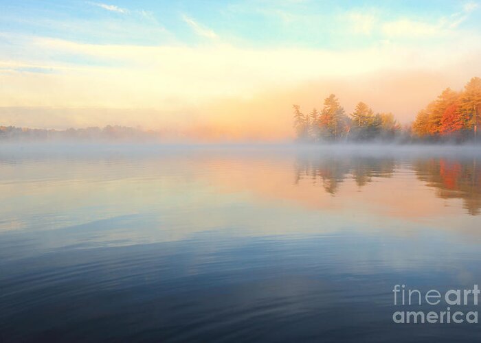 Autumn Greeting Card featuring the photograph Lake in Misty Morning by Charline Xia