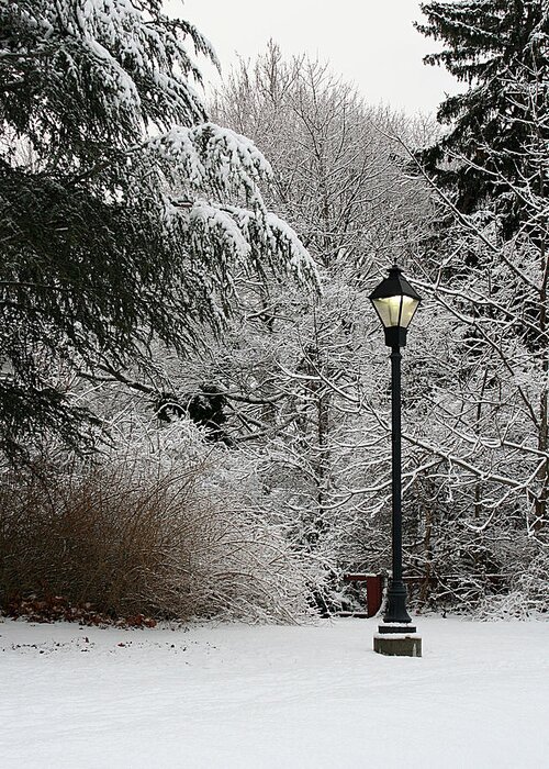 Lamp Post Greeting Card featuring the photograph Lamp Post in Winter by William Selander