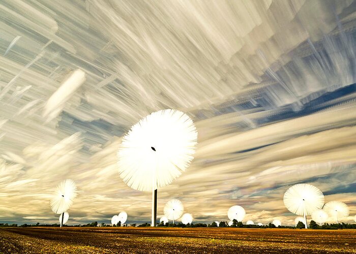 Landscape Greeting Card featuring the photograph Land of the Giant Lollypops by Matt Molloy