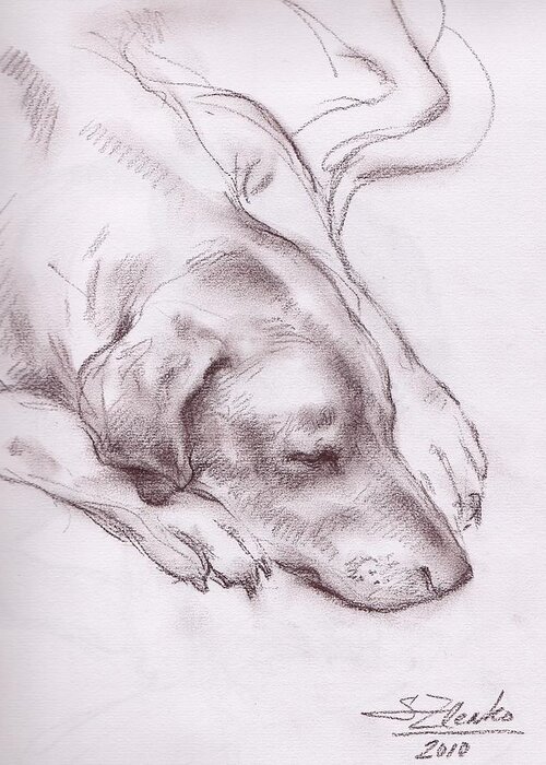 Animals Greeting Card featuring the drawing Lars sleeping by Serguei Zlenko