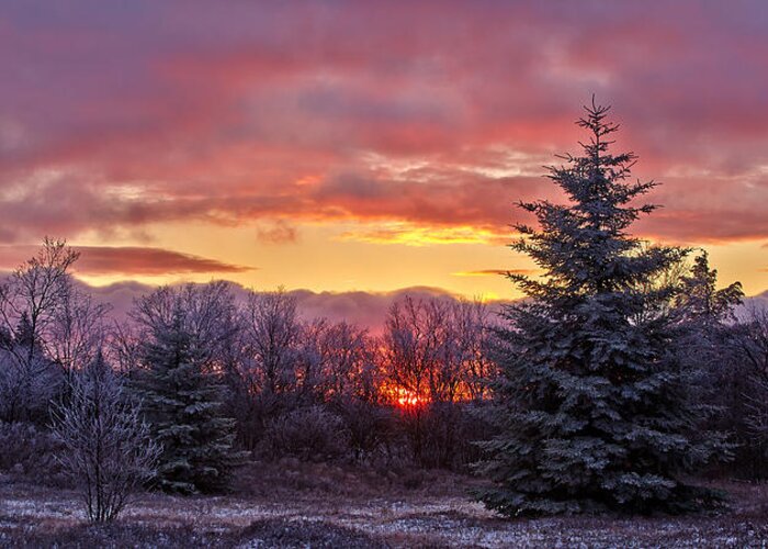 Sunrise Greeting Card featuring the photograph Last Sunrise 2013 II by Brian Simpson