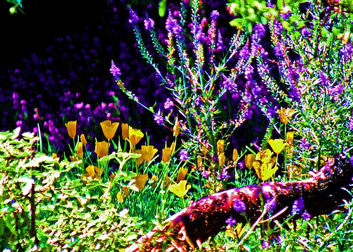 Lavender And Gold Greeting Card featuring the digital art Lavender and Gold by Joseph Coulombe