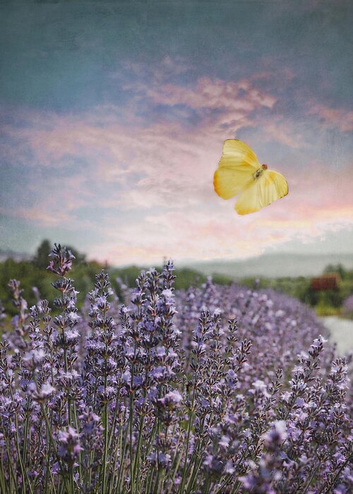 Blue And Pink Sunset Greeting Card featuring the photograph Lavender Field Pink and Blue Sunset and Yellow Butterfly by Brooke T Ryan