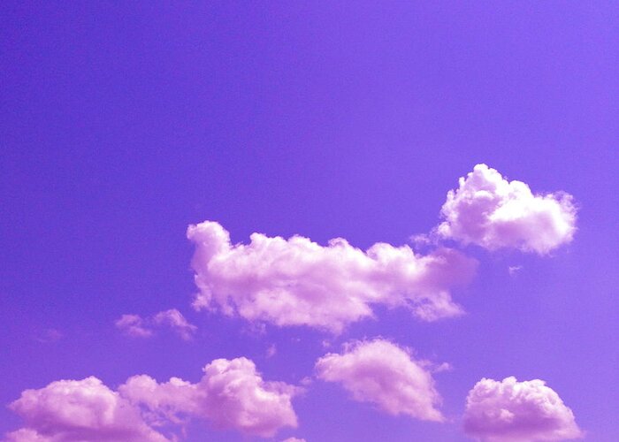 Blue Skies Greeting Card featuring the photograph Lavender Skies by M West