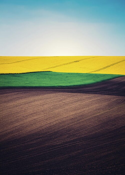 Scenics Greeting Card featuring the photograph Layers Of Colorful Field by Borchee