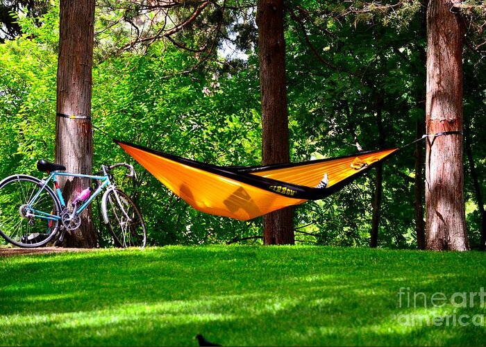 Hammock Greeting Card featuring the photograph Lazy Day in the Park by Johanne Peale