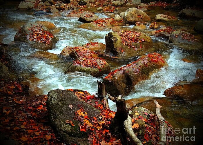 Marcia Lee Jones Greeting Card featuring the photograph Leaves Decorating River Rocks by Marcia Lee Jones