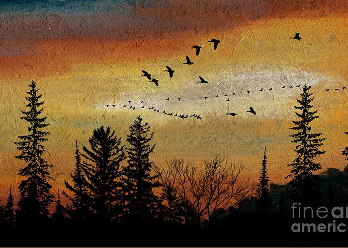 Leaving Behind Last Light Illuminated Night Waterfowl Stopover Rugged Northern Migratory Migration Wildlife Vast Spaces Outdoors Outdoor Masculine Manly Male Kyllo Hunting Hunt Giant Canada Canadian Honker Goose Geese Artwork Art Forest Cold Pine Fir Spruce Silhouette Painting Landing Flyway Wilderness Wild Sunset Sundown Skyscape Sky Scenic Scene Migrating Luminous Luminism Late Landscape Beautiful Flight Glide Birds Bird Graceful Dusk Dark Pastel Photo Composite Greeting Card featuring the mixed media Leaving the North Behind by R Kyllo