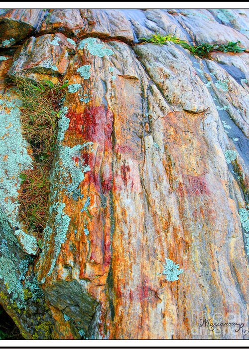 Rocks Greeting Card featuring the photograph Lichens on Rocks by Mariarosa Rockefeller