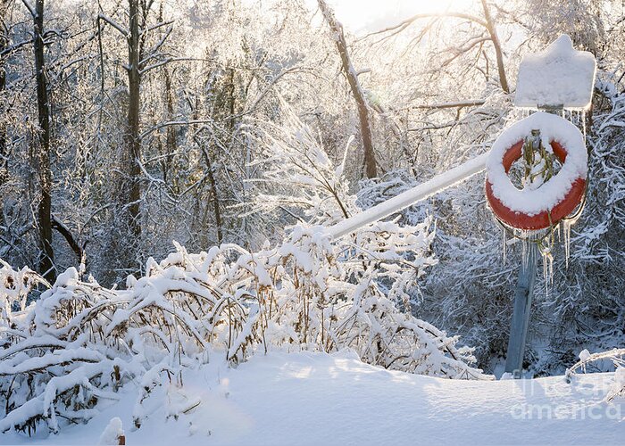 Winter Greeting Card featuring the photograph Lifesaver in winter snow by Elena Elisseeva